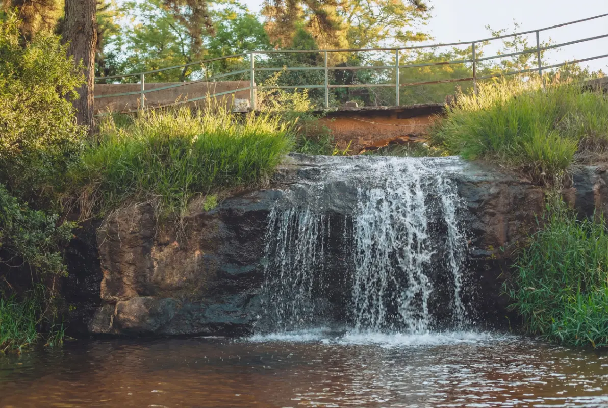 Cabañas María Selva - Imagen 3