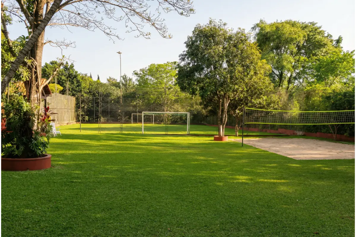 Quinta Jara - Imagen 3