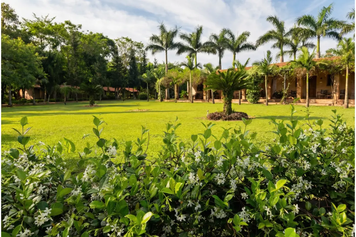 Hotel Granja Vy'aha - Imagen 4